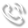 phoneIcon